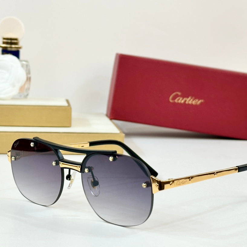 CARTIER SANTOS ROUND FRAME SUNGLASSES CT00676 IN METAL